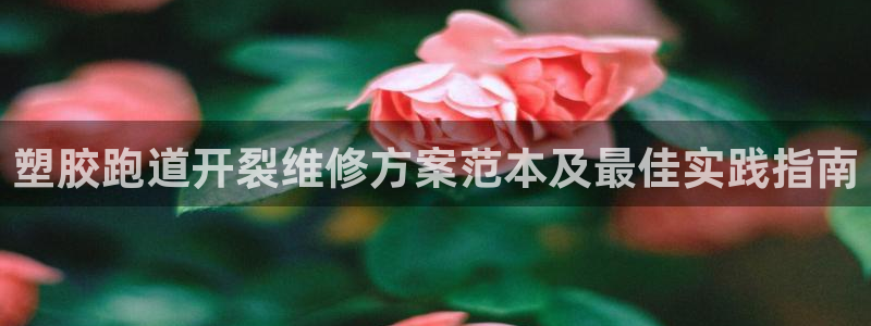 红足1世开奖预测：塑胶跑道开裂维修方案范本及最佳实践指南