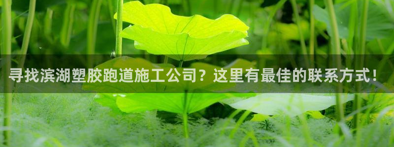 红足1一世红