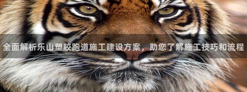 红足一1世666814足球比分网：全面解析乐山塑胶跑道施工建设方案，助您了解施工技巧和流程