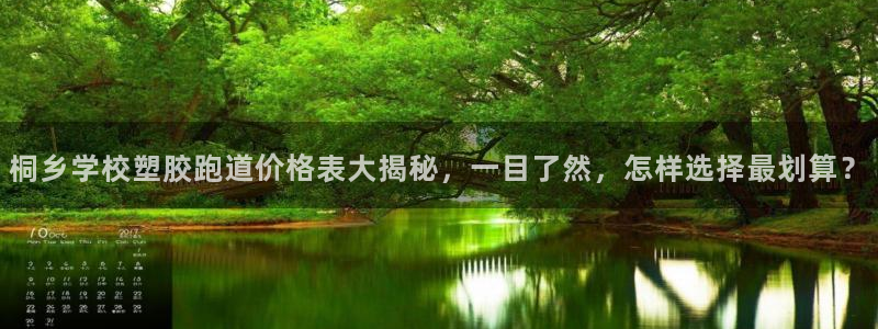红足一1世比分网：桐乡学校塑胶跑道价格表大揭秘，一目了然，怎样选择最划算？