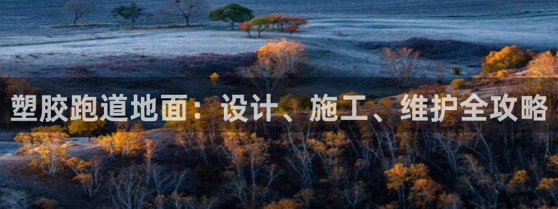 66814红足：塑胶跑道地面：设计、施工、维护全攻略
