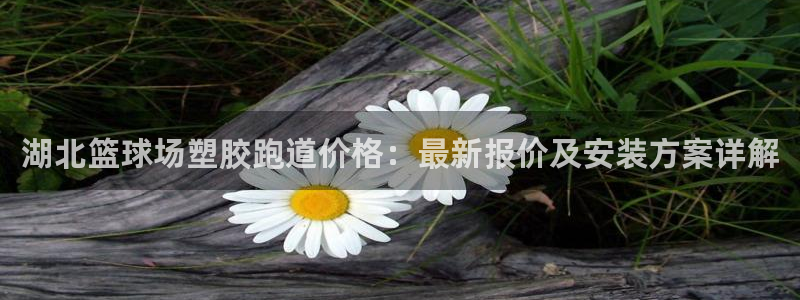 666814红·足一世比分：湖北篮球场塑胶跑道价格：最新报价及安装方案详解