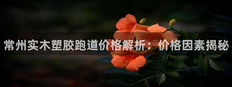 红足一一世：常州实木塑胶跑道价格解析：价格因素揭秘