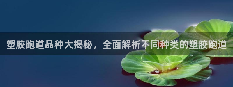 百度红足一1视频在线观看：塑胶跑道品种大揭秘，全面解析不同种类的塑胶跑道