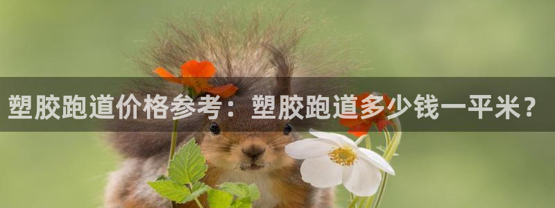 红足1世手机下载：塑胶跑道价格参考：塑胶跑道多少钱一平米？