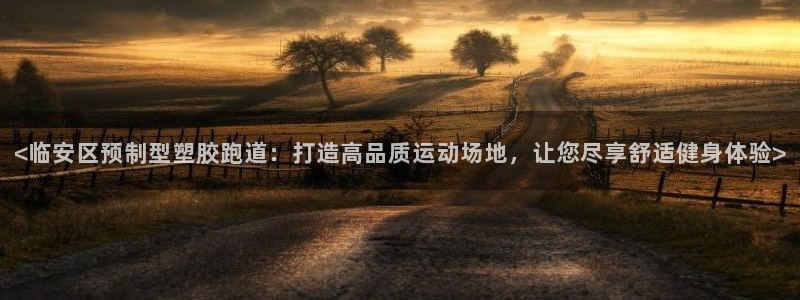 红足 世足球手机网：<临安区预制型塑胶跑道：打造高品质运动场地，让您尽享舒适健身体验>