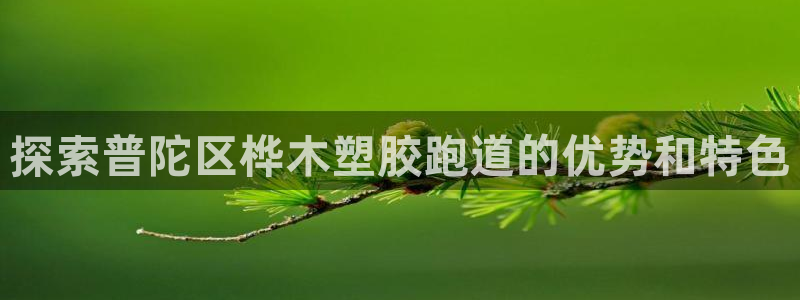 红足一1世666814足球：探索普陀区桦木塑胶跑道的优势和特色