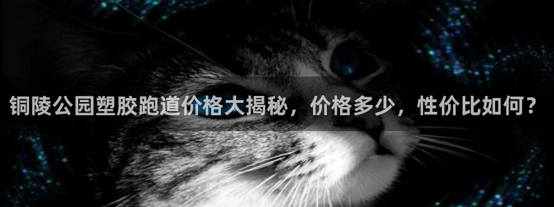 百度红足一1世：铜陵公园塑胶跑道价格大揭秘，价格多少，性价比如何？