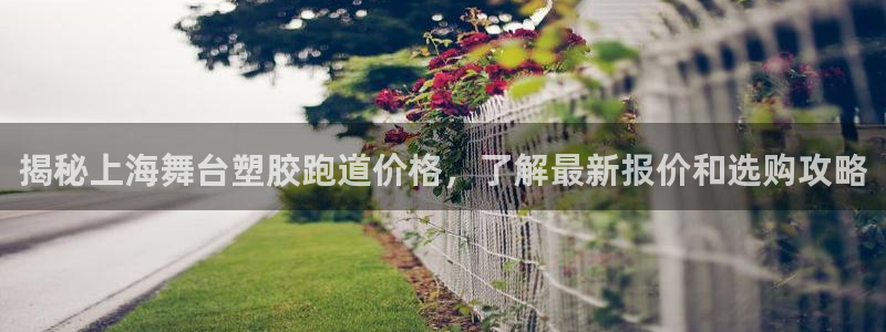 红足1世足球比分：揭秘上海舞台塑胶跑道价格，了解最新报价和选购攻略