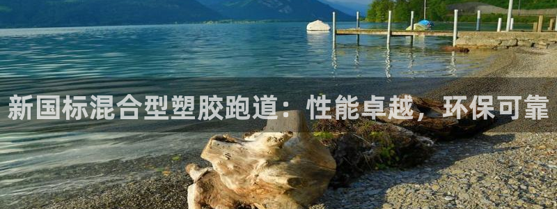 红足1世手足球比分：新国标混合型塑胶跑道：性能卓越，环保可靠
