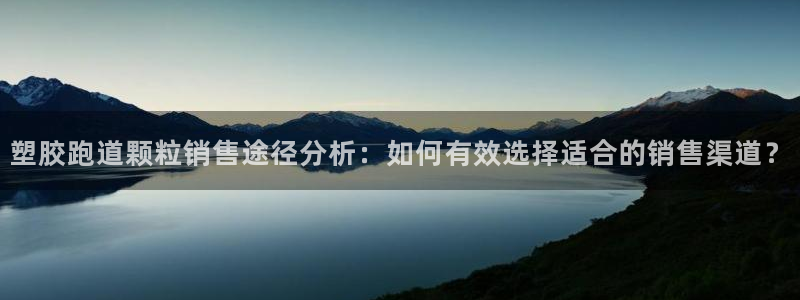 红足1一世开奖版：塑胶跑道颗粒销售途径分析：如何有效选择适合的销售渠道？