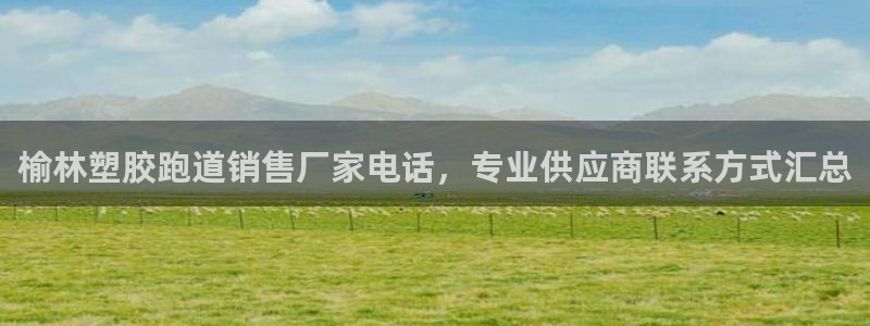 百度红足一1是什么样子的：榆林塑胶跑道销售厂家电话，专业供应商联系方式汇总