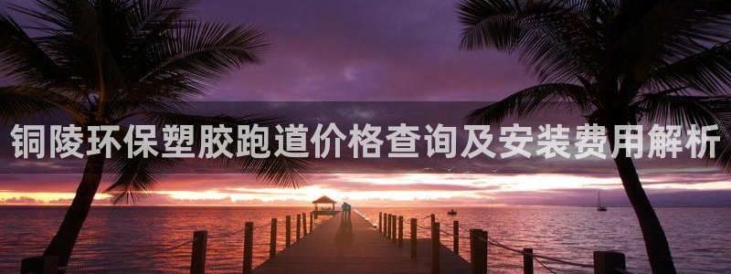 777814红·足一世：铜陵环保塑胶跑道价格查询及安装费用解析