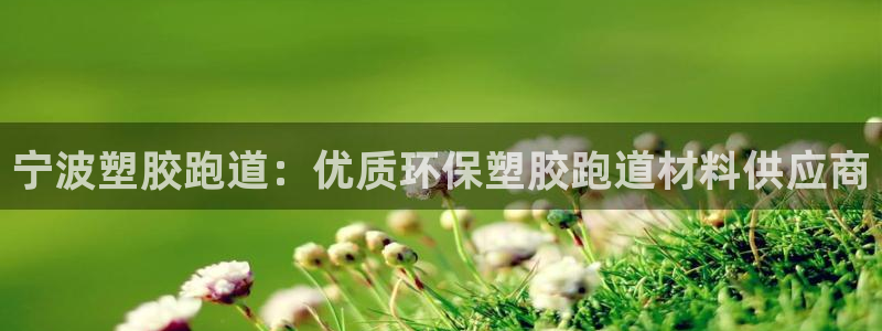 红足一：宁波塑胶跑道：优质环保塑胶跑道材料供应商