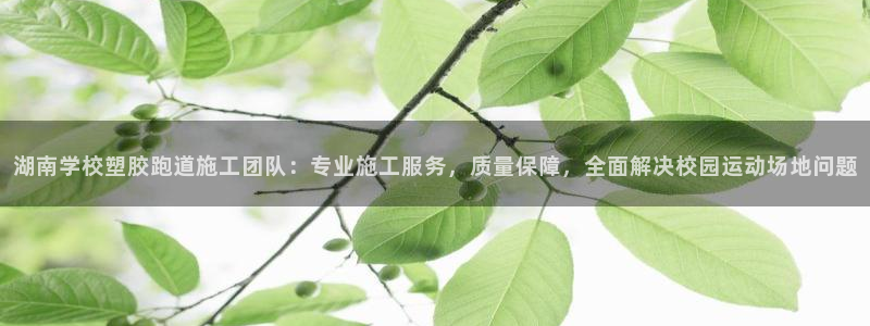 333814红足1世：湖南学校塑胶跑道施工团队：专业施工服务，质量保障，全面解决校园运动场地问题