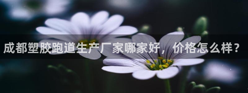 红足l一世开奖现场62ty：成都塑胶跑道生产厂家哪家好，价格怎么样？