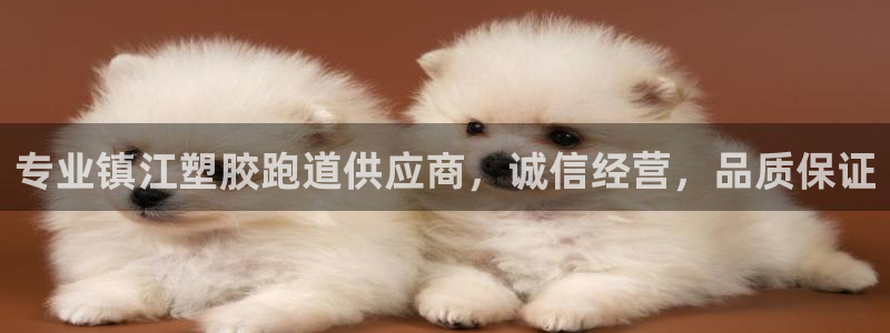 红足1世足球比分网址：专业镇江塑胶跑道供应商，诚信经营，品质保证