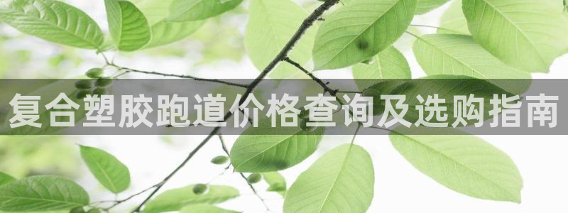 666814红·足一世比分：复合塑胶跑道价格查询及选购指南