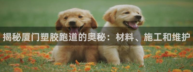 55814红足1世：揭秘厦门塑胶跑道的奥秘：材料、施工和维护