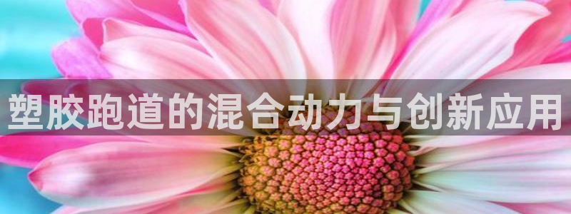 红足体育网：塑胶跑道的混合动力与创新应用