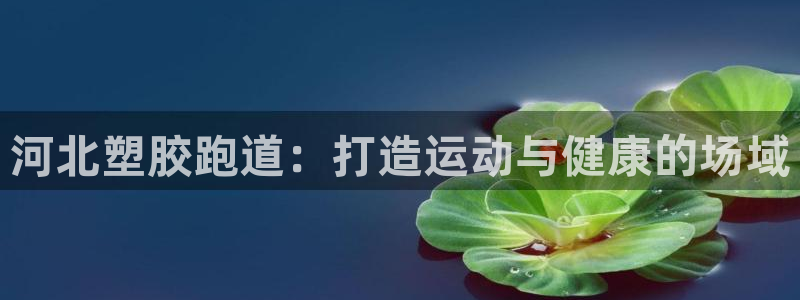 红足一1世开奖记录：河北塑胶跑道：打造运动与健康的场域