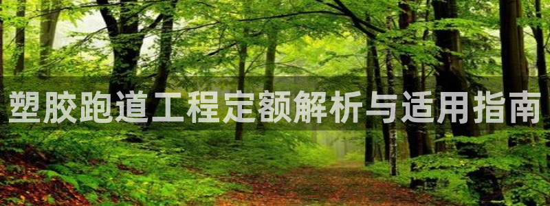 红足一1世官网：塑胶跑道工程定额解析与适用指南