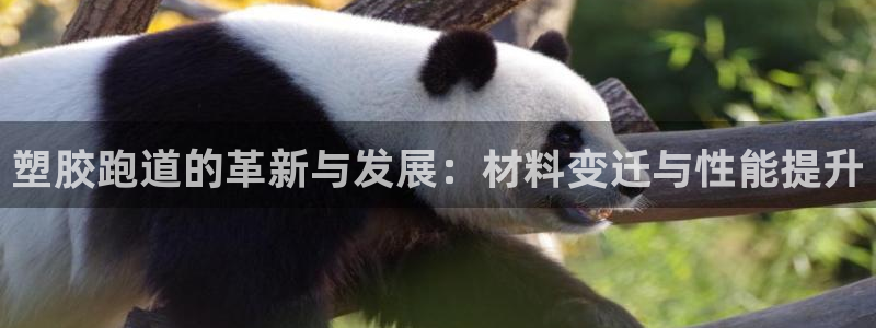 红足一1世666814足球比分网：塑胶跑道的革新与发展：材料变迁与性能提升