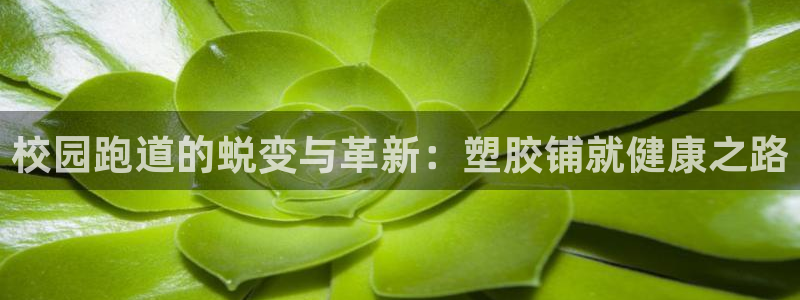 红足一1世手机开奖：校园跑道的蜕变与革新：塑胶铺就健康之路