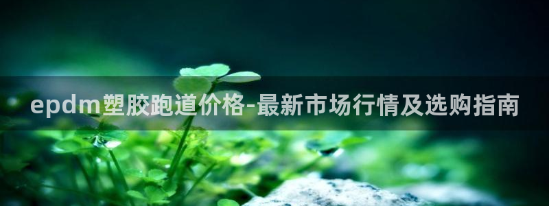 百度红足一1世：epdm塑胶跑道价格-最新市场行情及选购指南