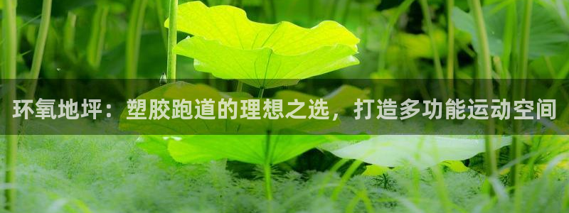 红足一一世：环氧地坪：塑胶跑道的理想之选，打造多功能运动空间