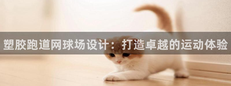 红足1世足球比分：塑胶跑道网球场设计：打造卓越的运动体验