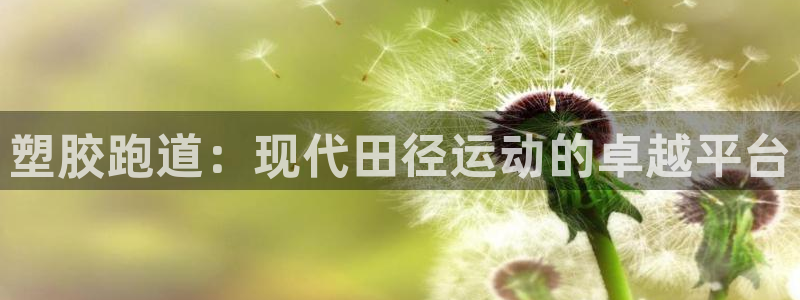 红足1世足球网址大全：塑胶跑道：现代田径运动的卓越平台