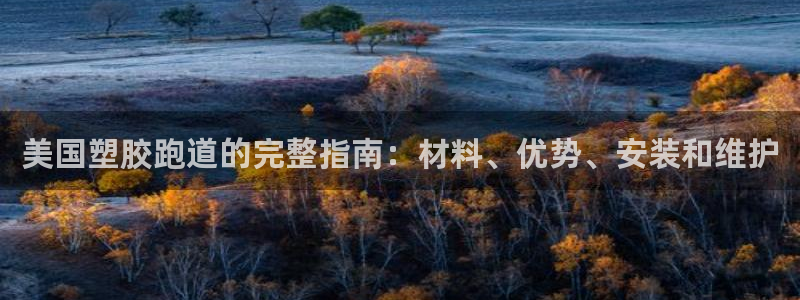 66814红足：美国塑胶跑道的完整指南：材料、优势、安装和维护