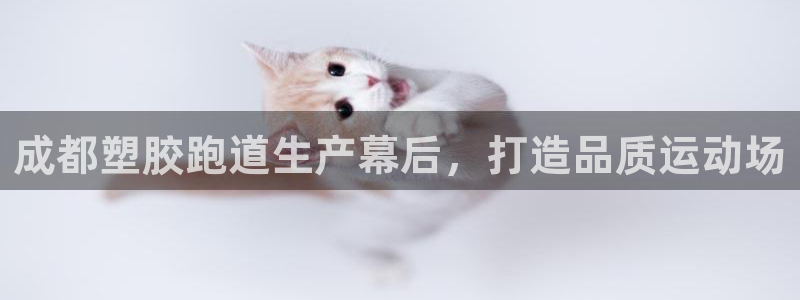 红世一足球比分：成都塑胶跑道生产幕后，打造品质运动场