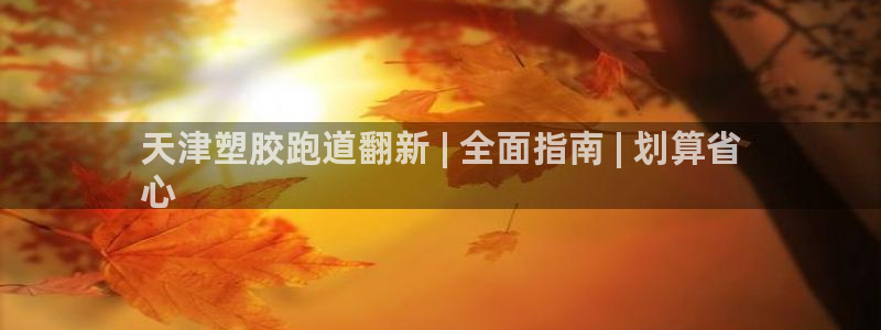 红足体育网：天津塑胶跑道翻新 | 全面指南 | 划算省
心