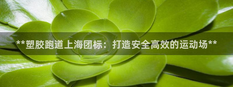 红足1一世红：**塑胶跑道上海团标：打造安全高效的运动场**