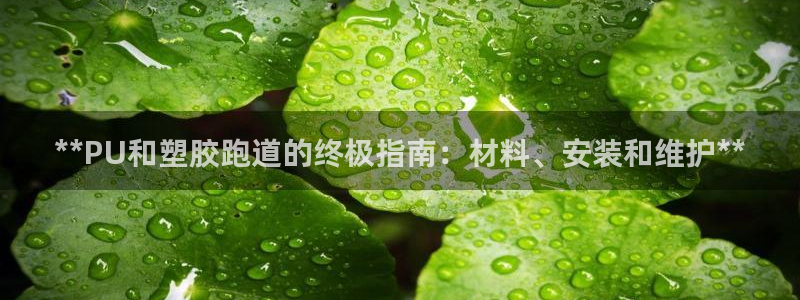 红姐现场直播开奖记录