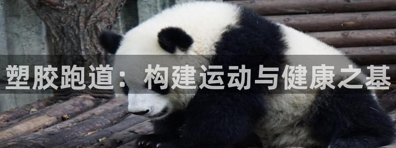666814红·足一世比分：塑胶跑道：构建运动与健康之基