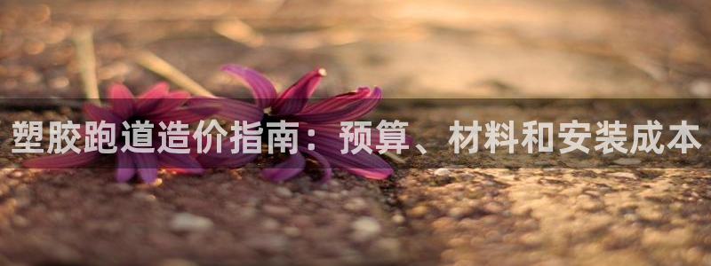 红足 世足球手机网
