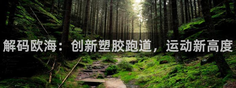 66814红足：解码欧海：创新塑胶跑道，运动新高度