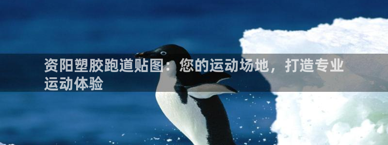 红世一足球比分