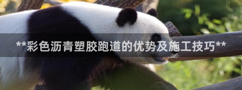 红足一1世手机皇冠：**彩色沥青塑胶跑道的优势及施工技巧**