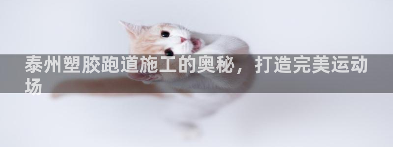 红足一1世66814新宝：泰州塑胶跑道施工的奥秘，打造完美运动
场