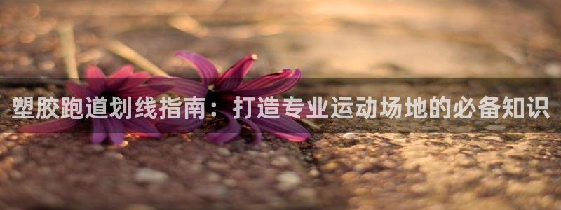 红足一1世平台