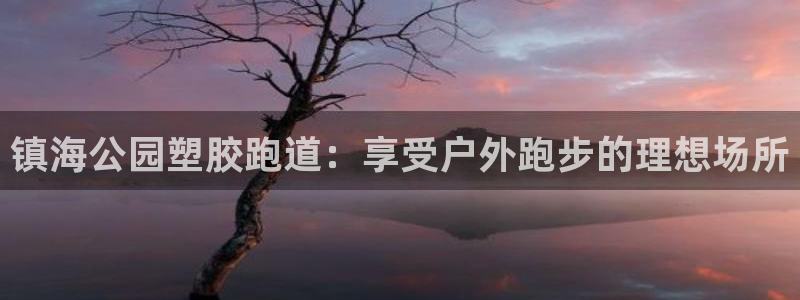 红足1世开奖预测：镇海公园塑胶跑道：享受户外跑步的理想场所