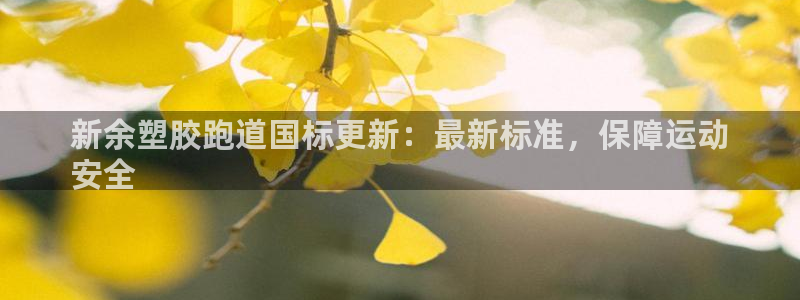 红足一1世官网足球推荐真人：新余塑胶跑道国标更新：最新标准，保障运动
安全