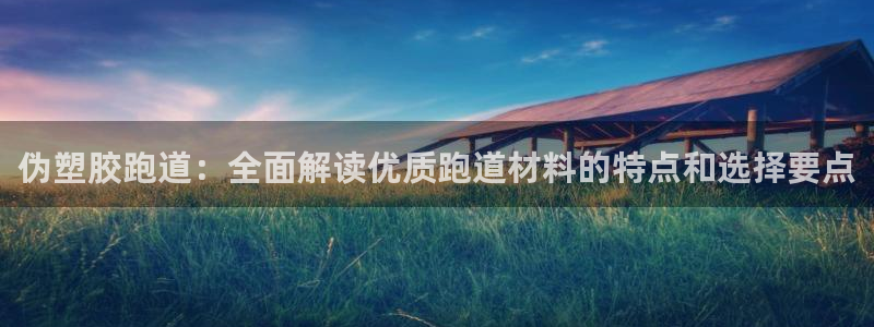 红足一1世皇冠登录：伪塑胶跑道：全面解读优质跑道材料的特点和选择要点