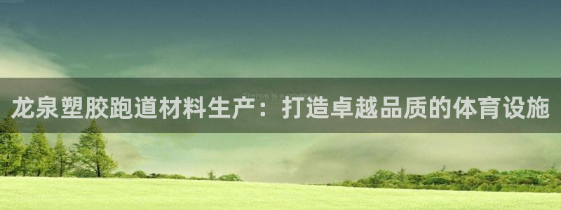 百度红足一1世：龙泉塑胶跑道材料生产：打造卓越品质的体育设施
