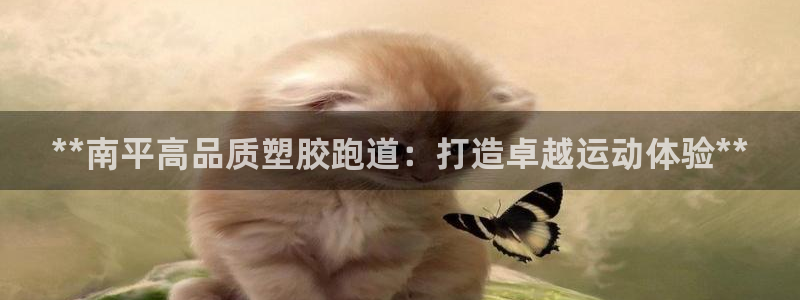 44814红足：**南平高品质塑胶跑道：打造卓越运动体验**