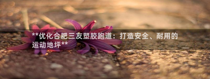 333814红·足一世比分：**优化合肥三友塑胶跑道：打造安全、耐用的
运动地坪**
